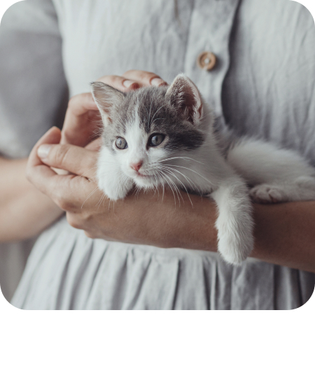 woman in rustic dress holding cute little kitten