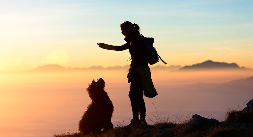 girl plays with his dog